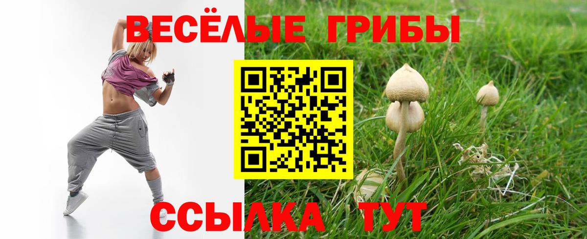 Галлюциногенные грибы мицелий  Вход с VPN  Таганрог 